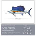 Sailfish - Side View