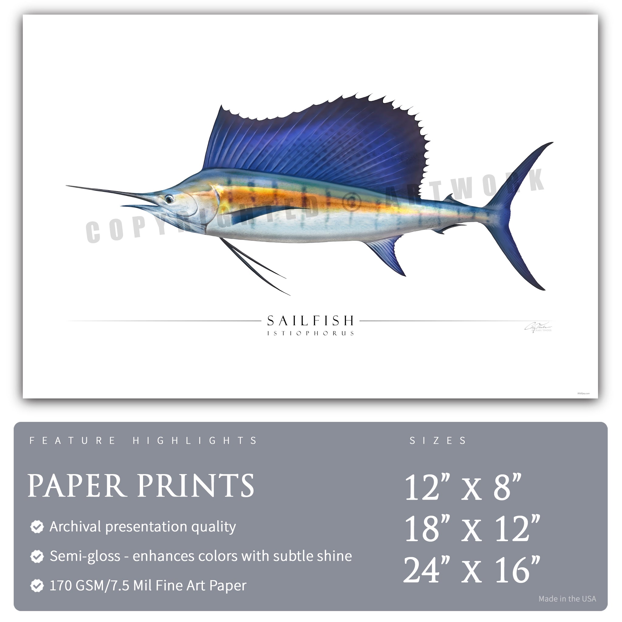 Sailfish - Side View