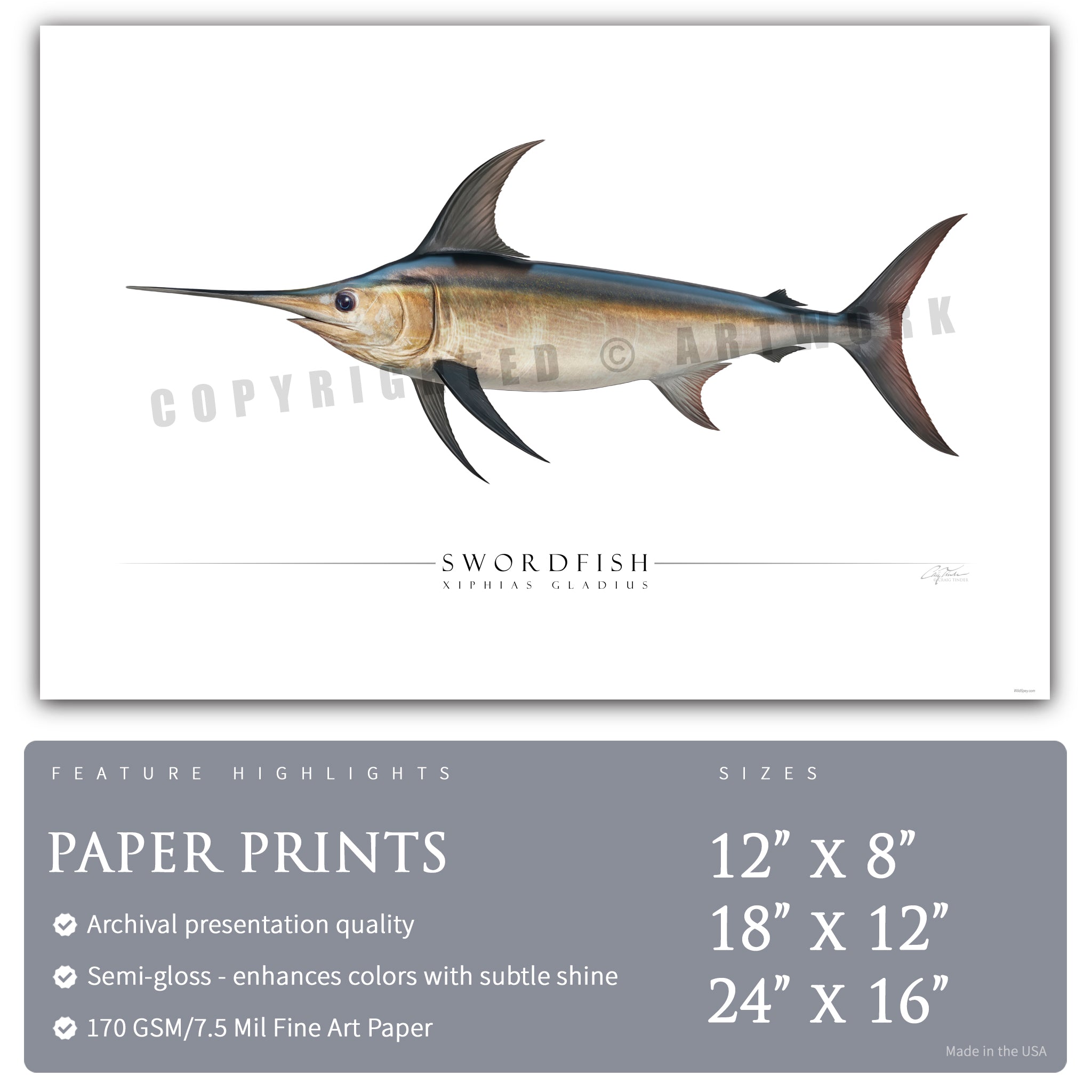 Swordfish - Side View