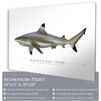 Blacktip Reef Shark - Side View