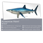 Blue Shark - Side View