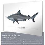 Bull Shark - Side View