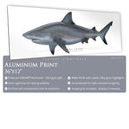 Bull Shark - Side View