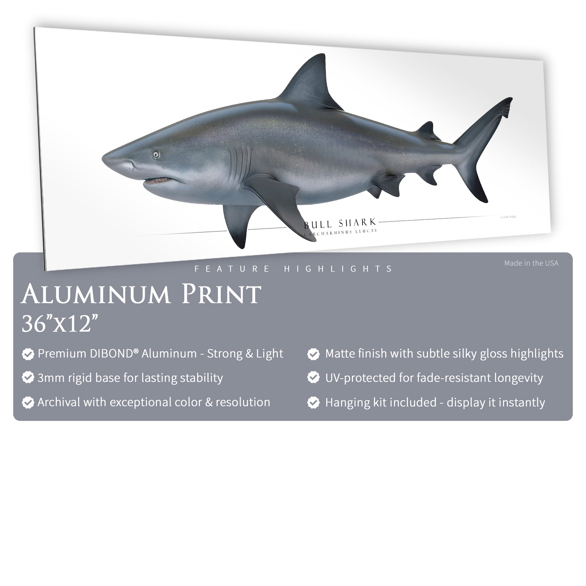 Bull Shark - Side View