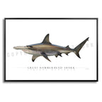 Great Hammerhead Shark - Side View