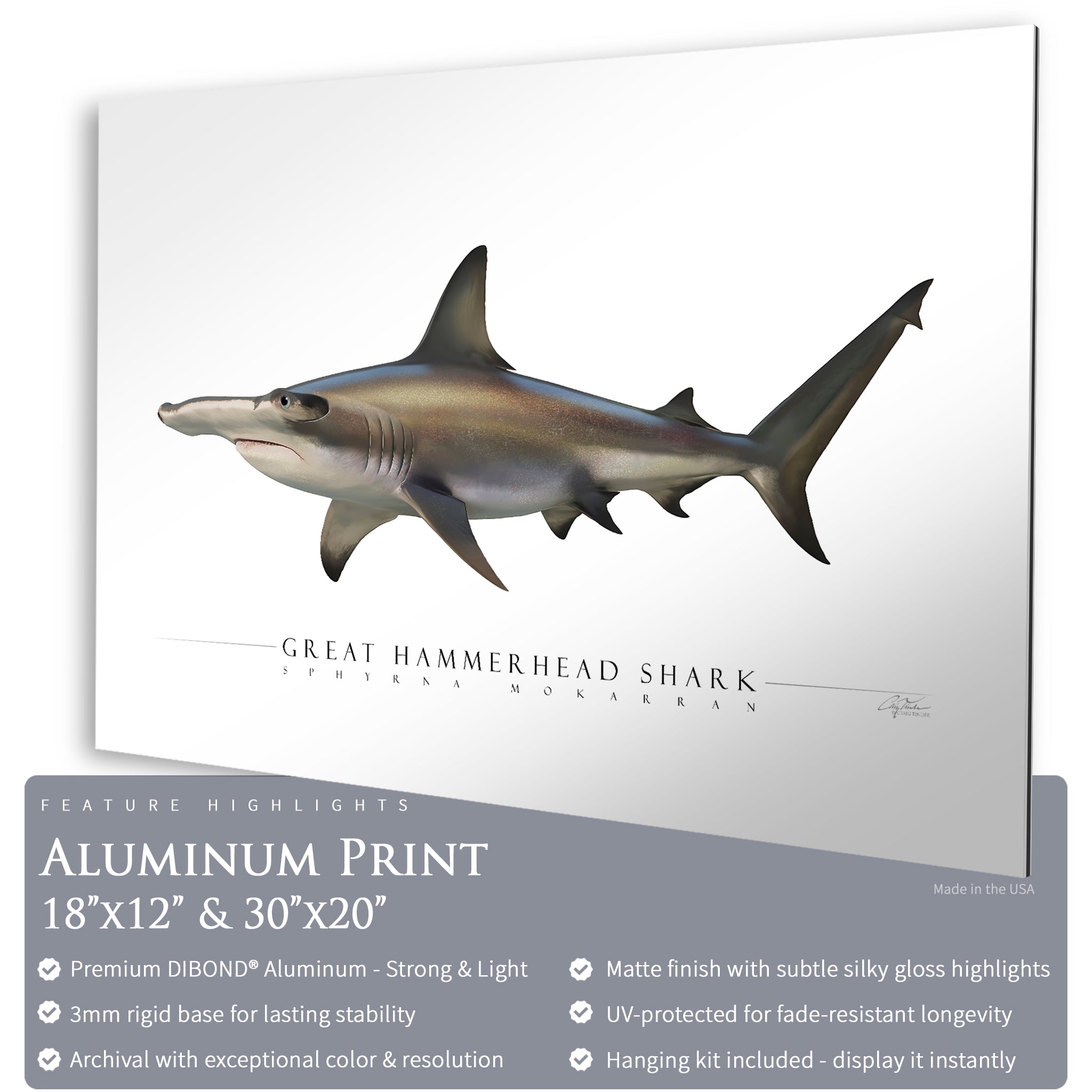 Great Hammerhead Shark - Side View