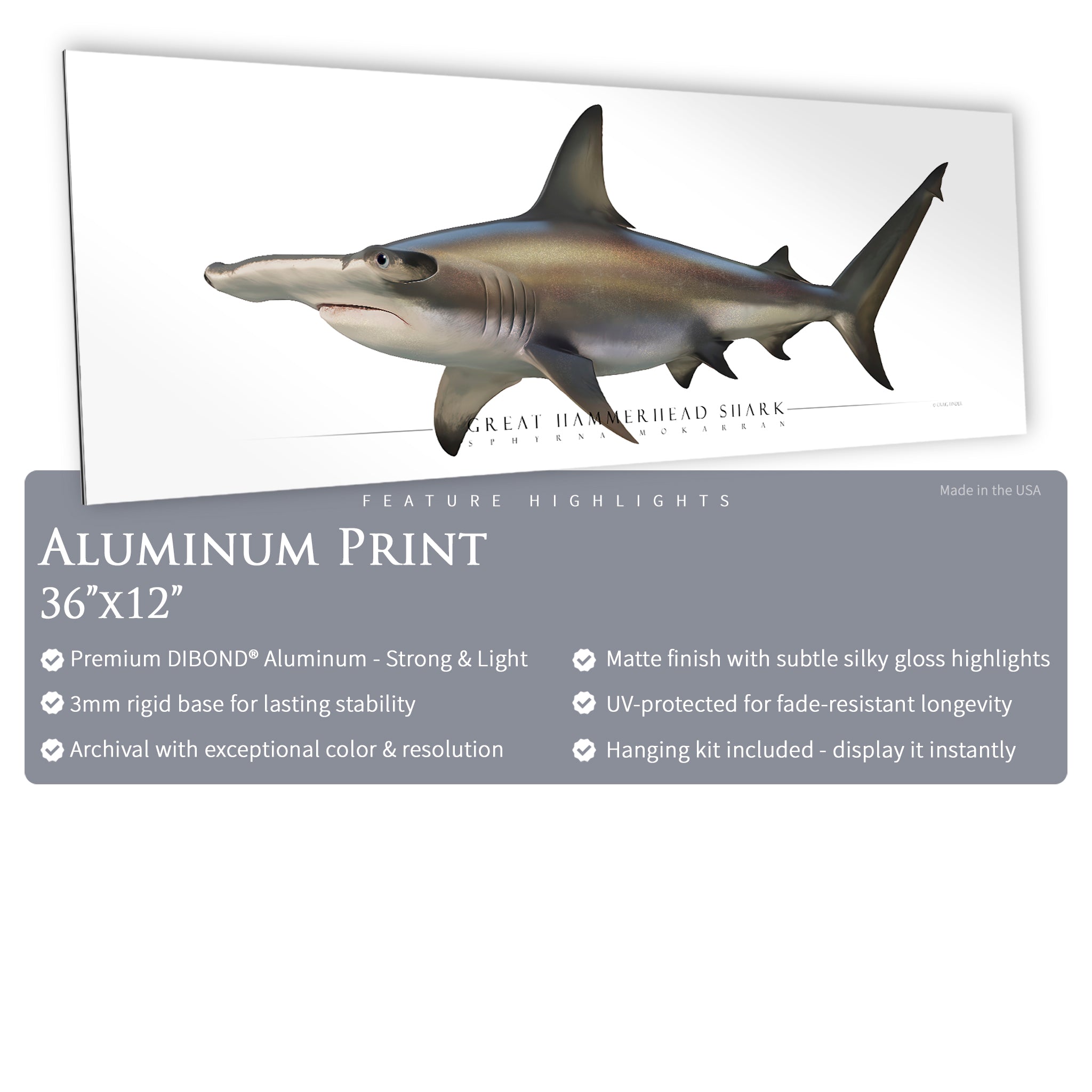 Great Hammerhead Shark - Side View