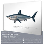 Shortfin Mako Shark - Side View