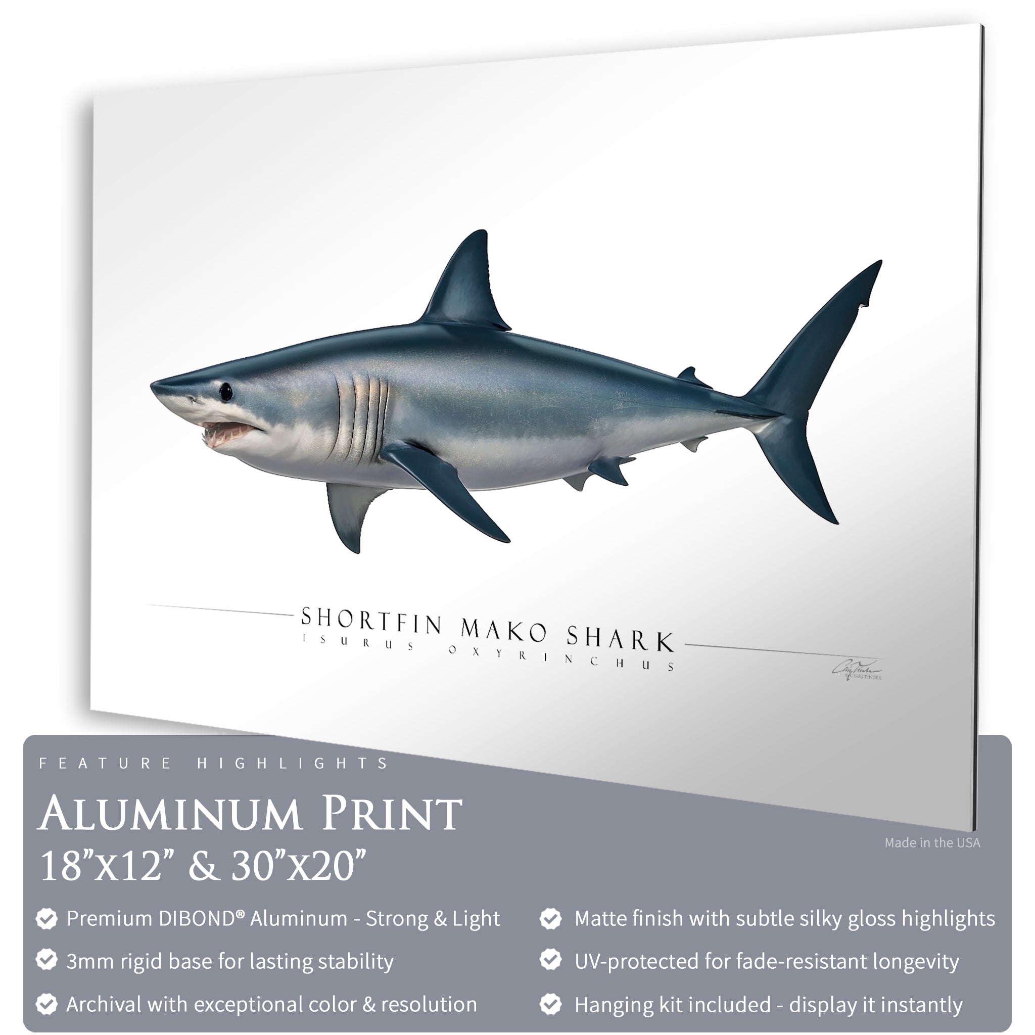 Shortfin Mako Shark - Side View