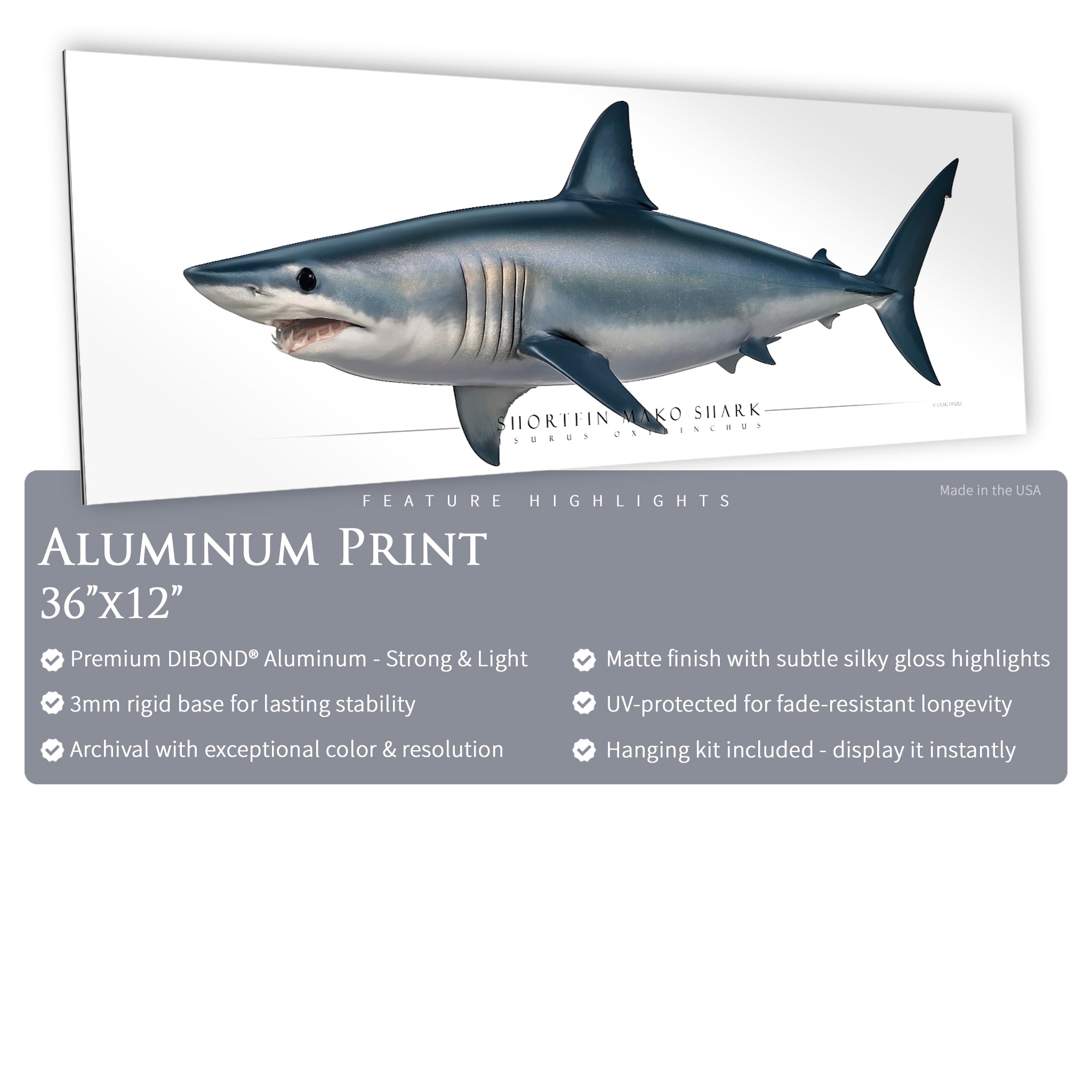 Shortfin Mako Shark - Side View