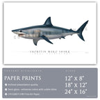 Shortfin Mako Shark - Side View