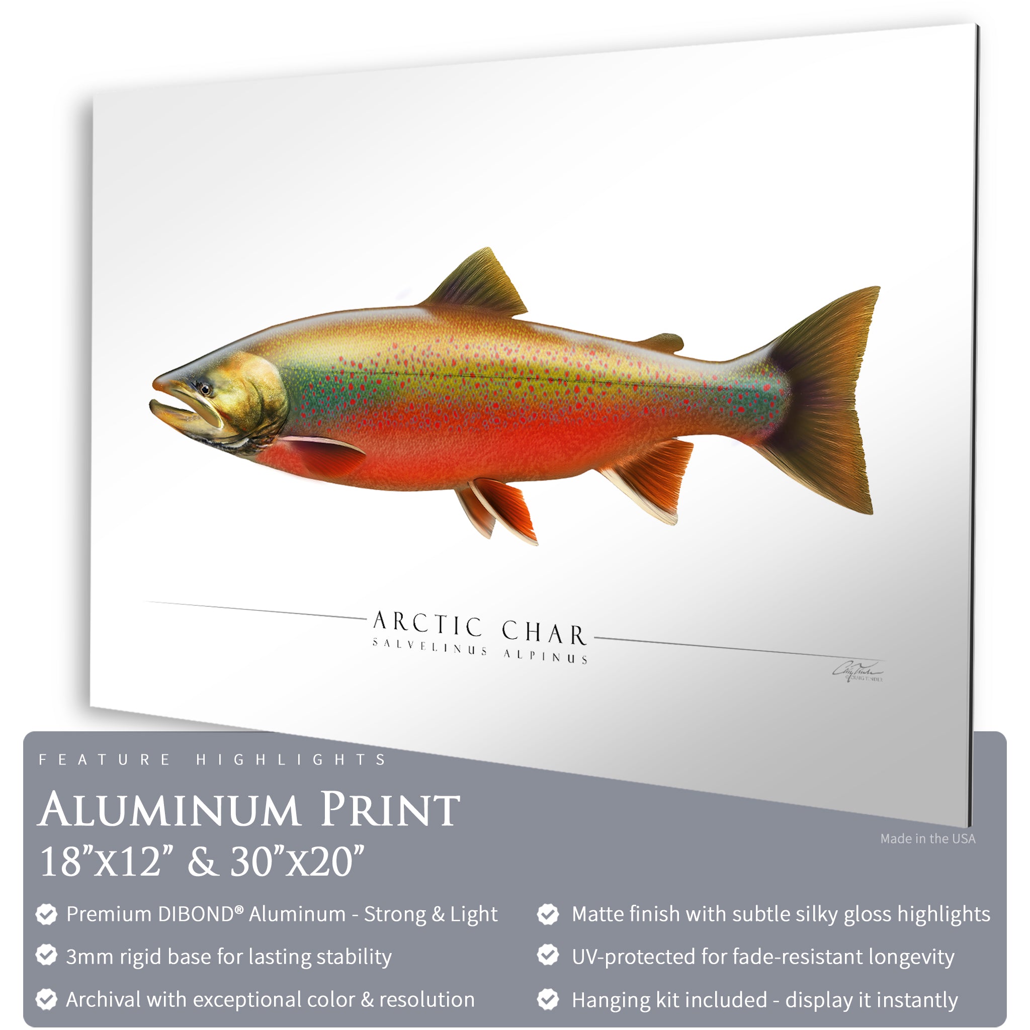 Arctic Char - Side View