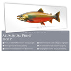 Arctic Char - Side View