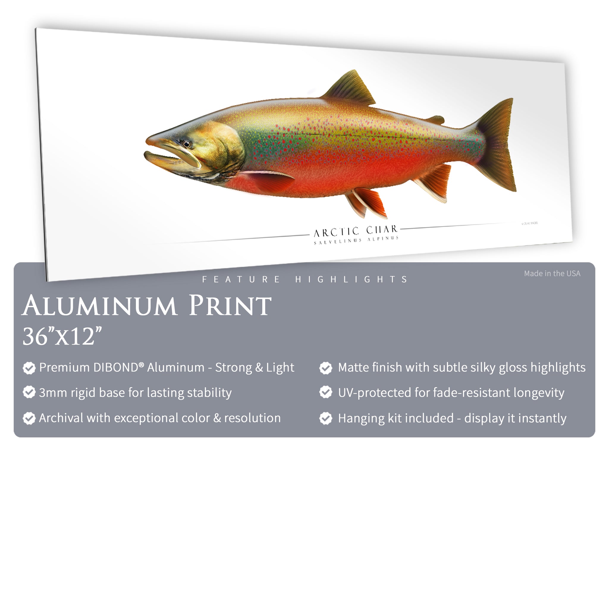 Arctic Char - Side View