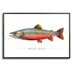 Brook Trout - Side View