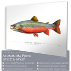 Brook Trout - Side View