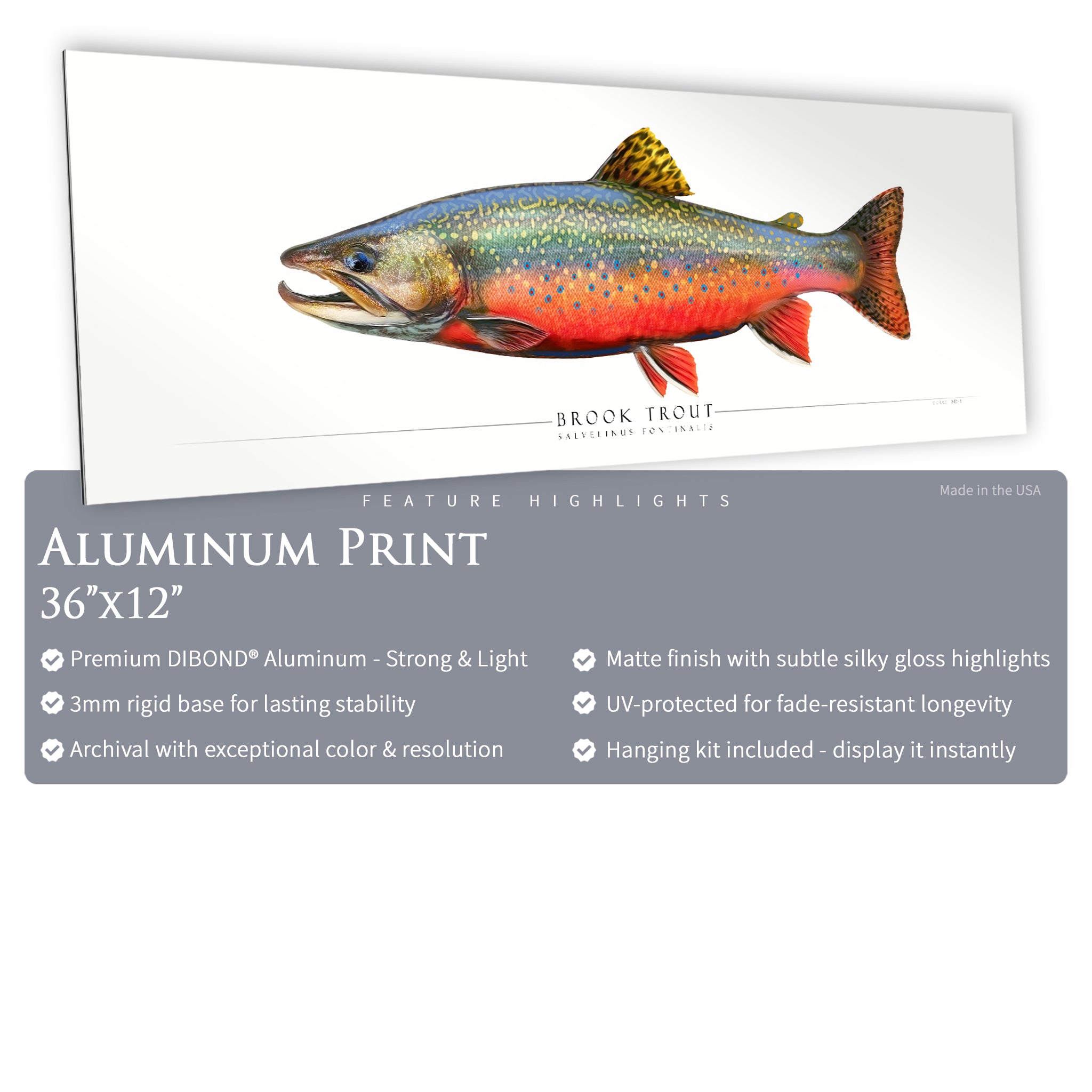 Brook Trout - Side View