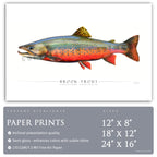 Brook Trout - Side View