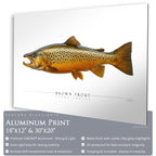 Brown Trout - Side View