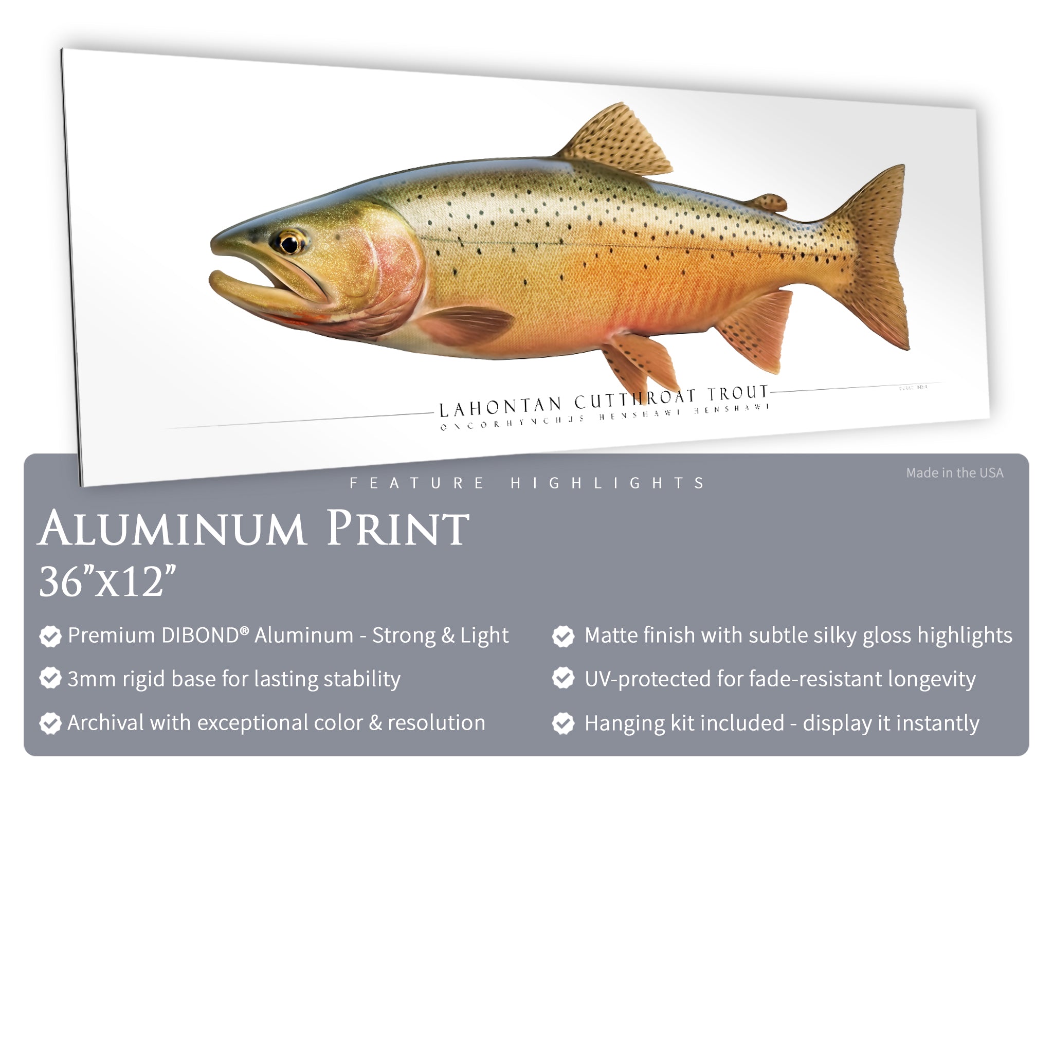 Cutthroat Trout (Lahontan) - Side View