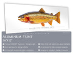 Cutthroat Trout (Yellowstone) - Side View