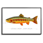 Golden Trout (Kern River) - Side View