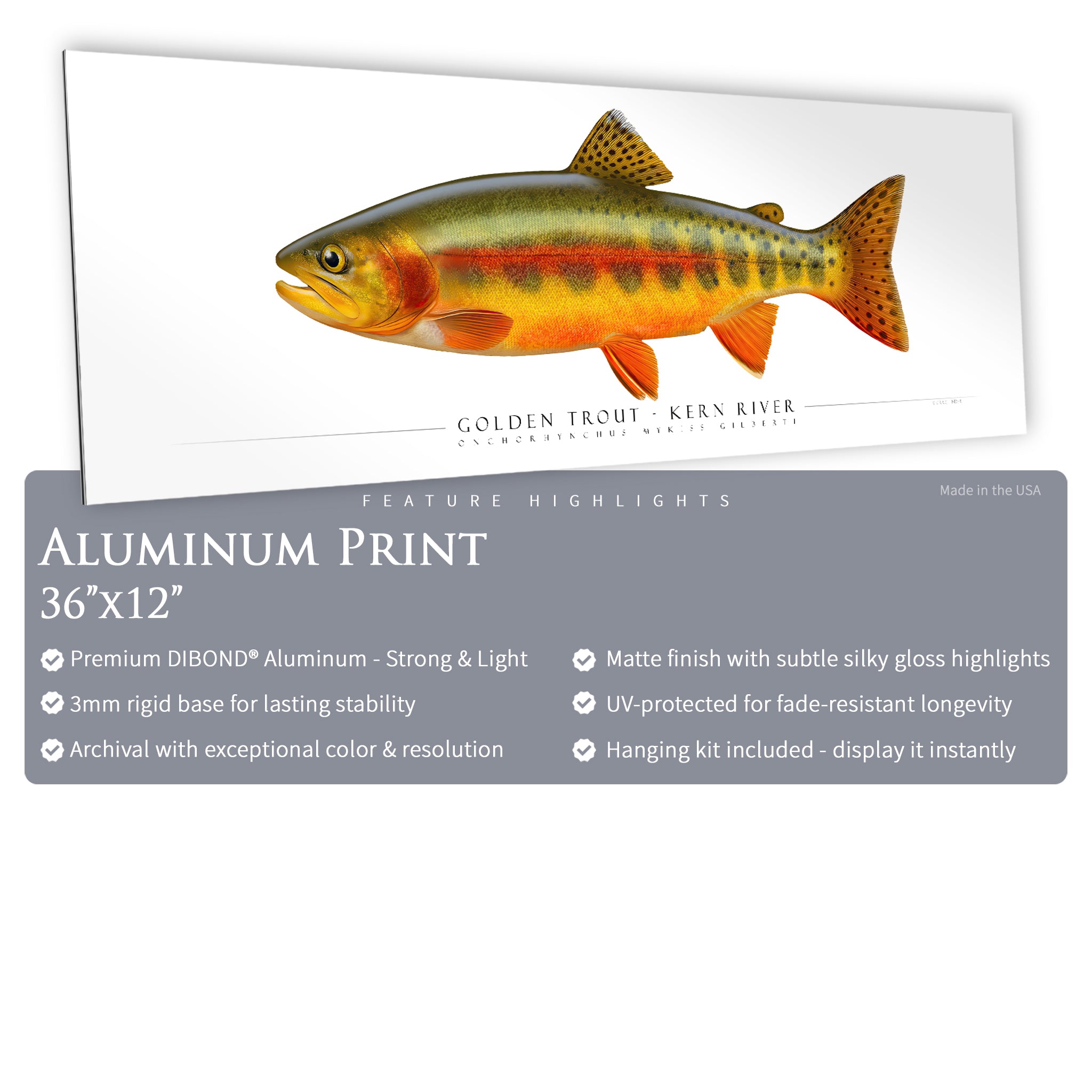 Golden Trout (Kern River) - Side View