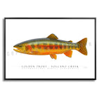 Golden Trout (Volcano Creek) - Side View