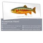 Golden Trout (Volcano Creek) - Side View