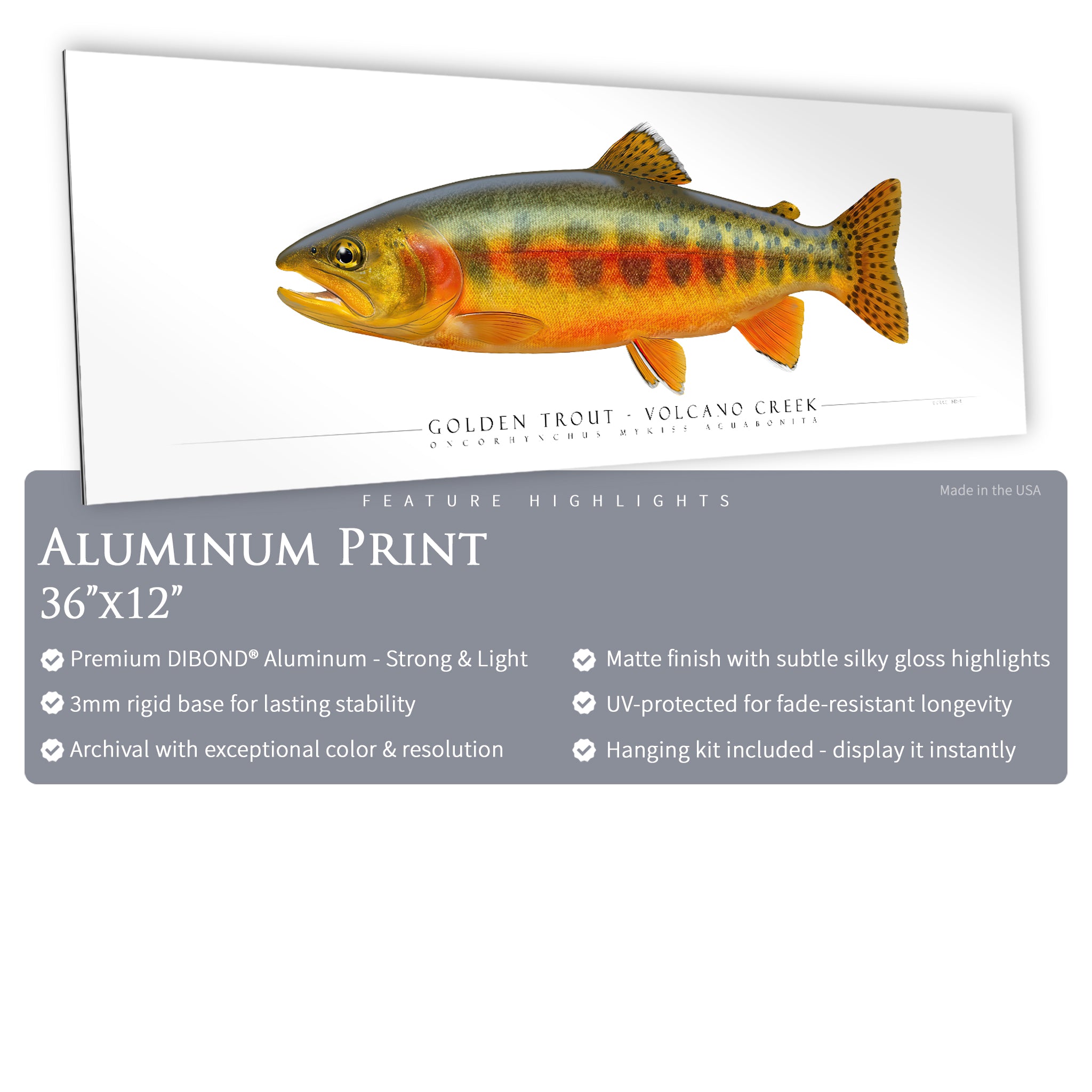Golden Trout (Volcano Creek) - Side View