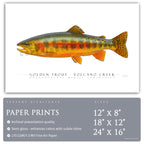 Golden Trout (Volcano Creek) - Side View