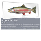 Steelhead Trout (Spawning) - Side View