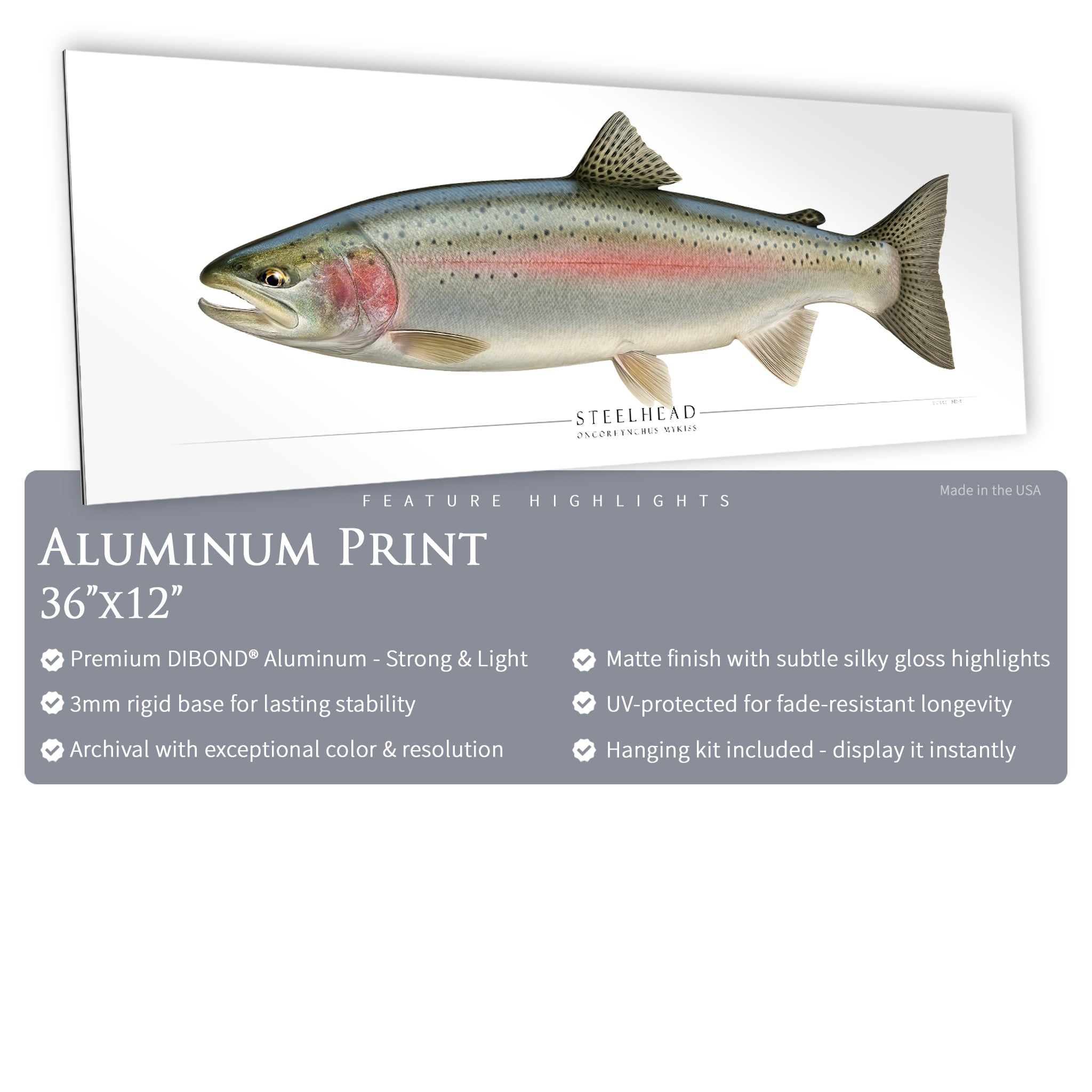 Steelhead Trout - Side View