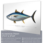 Bluefin Tuna - Side View