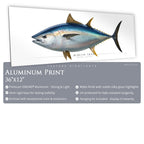 Bluefin Tuna - Side View