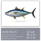 Bluefin Tuna - Side View