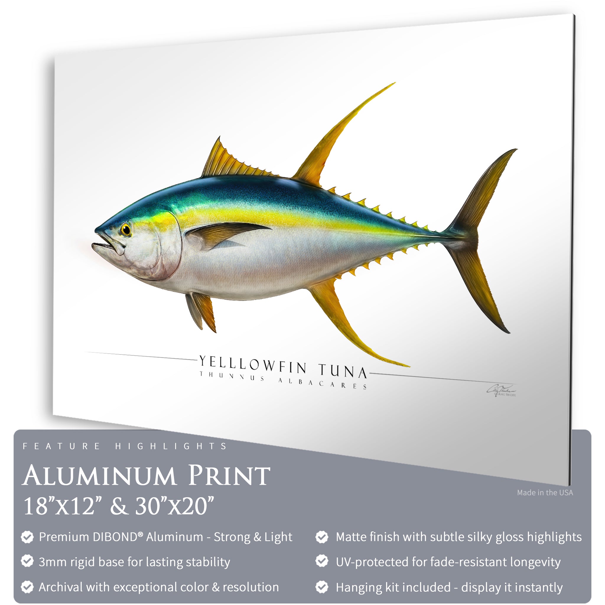 Yellowfin Tuna - Side View