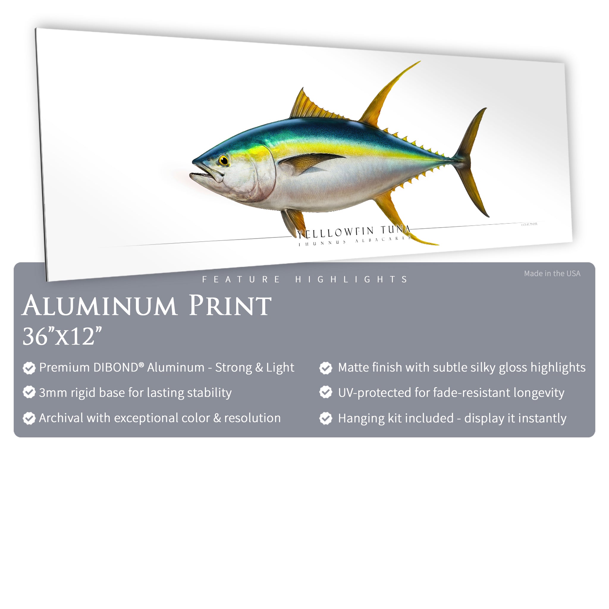 Yellowfin Tuna - Side View