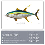 Yellowfin Tuna - Side View