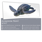 Leatherback Sea Turtle - Side View