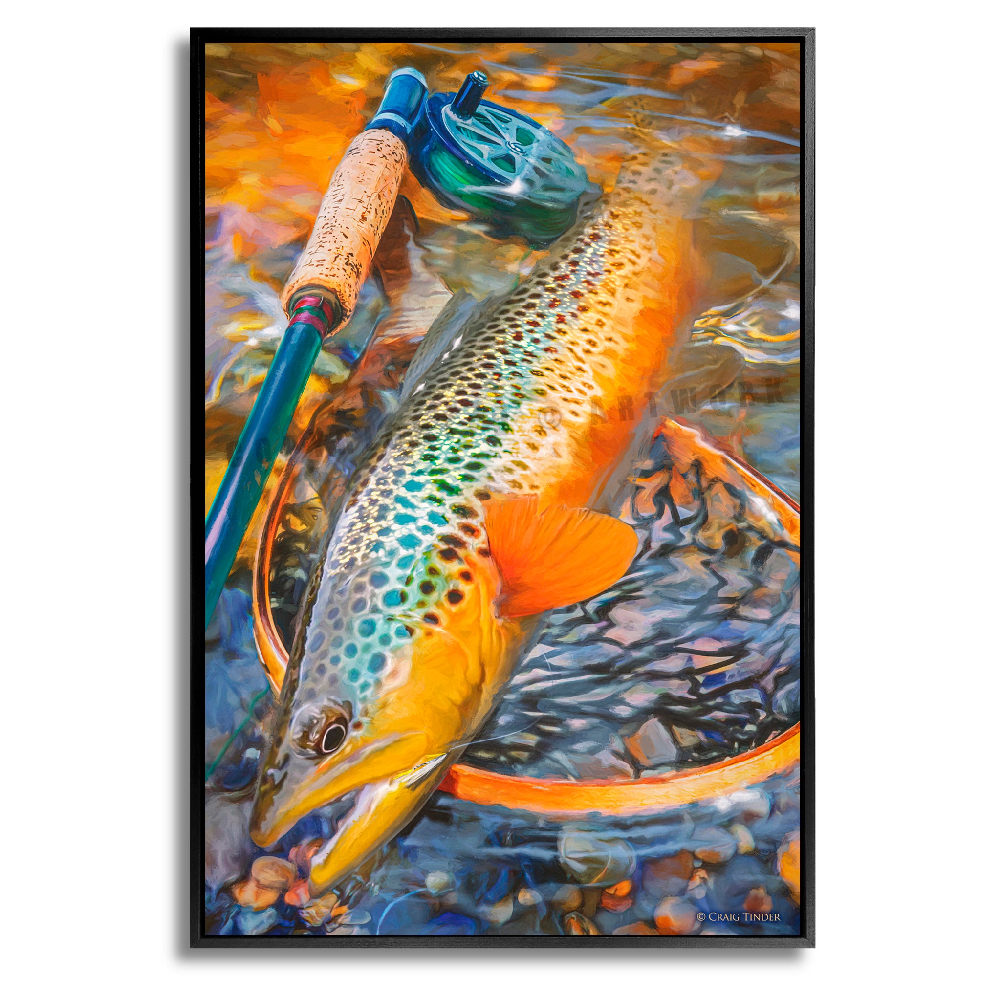 Au Sable Brown Trout