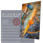 Au Sable Brown Trout