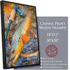 Au Sable Brown Trout