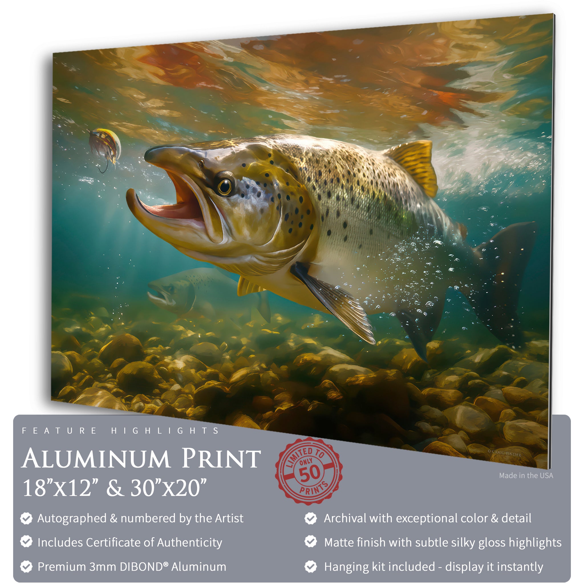 Autumn Run - Atlantic Salmon