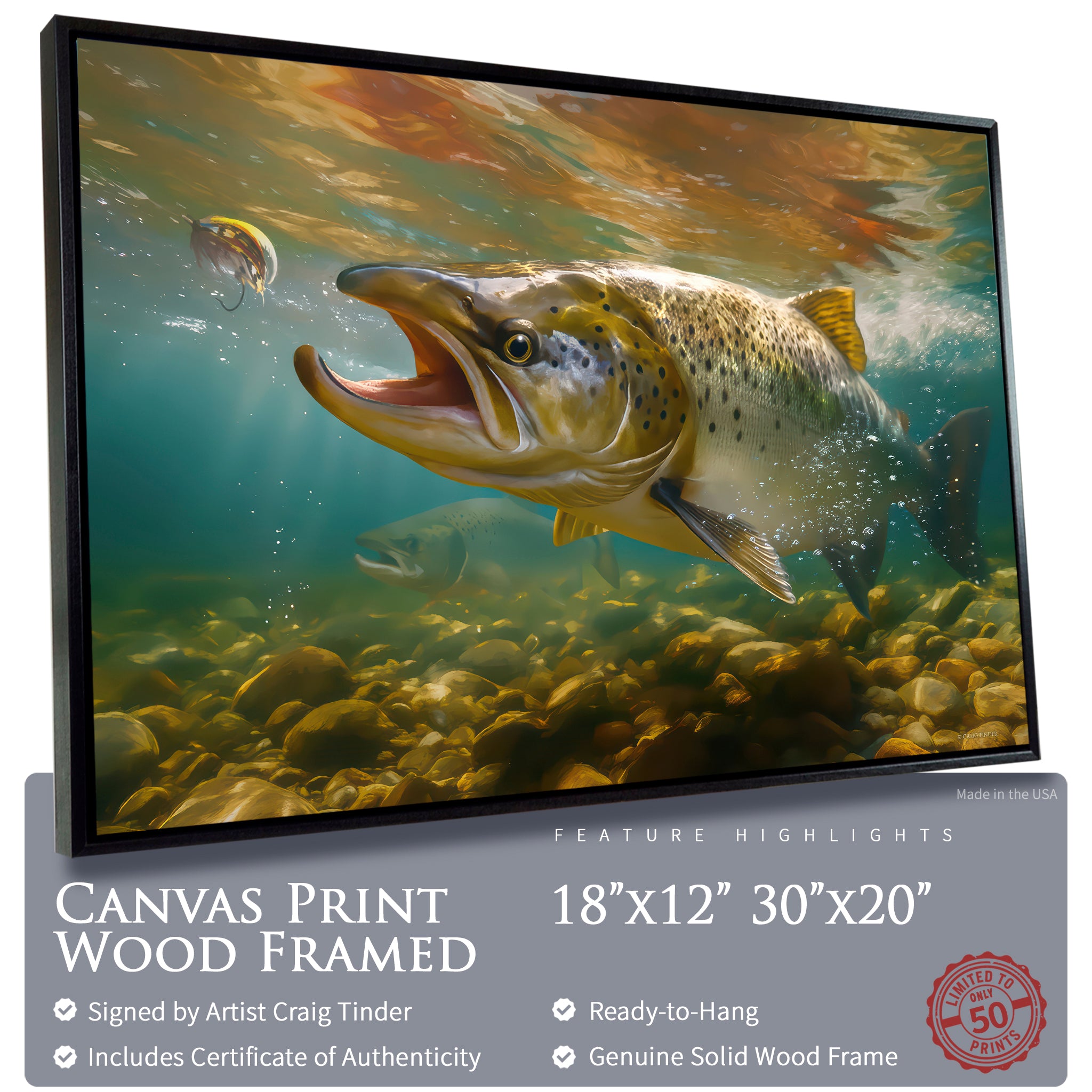 Autumn Run - Atlantic Salmon