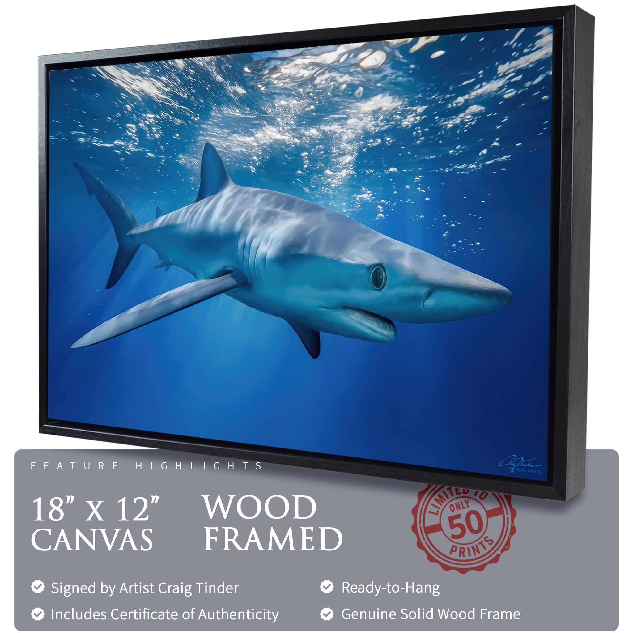 Blue Shark Horizons