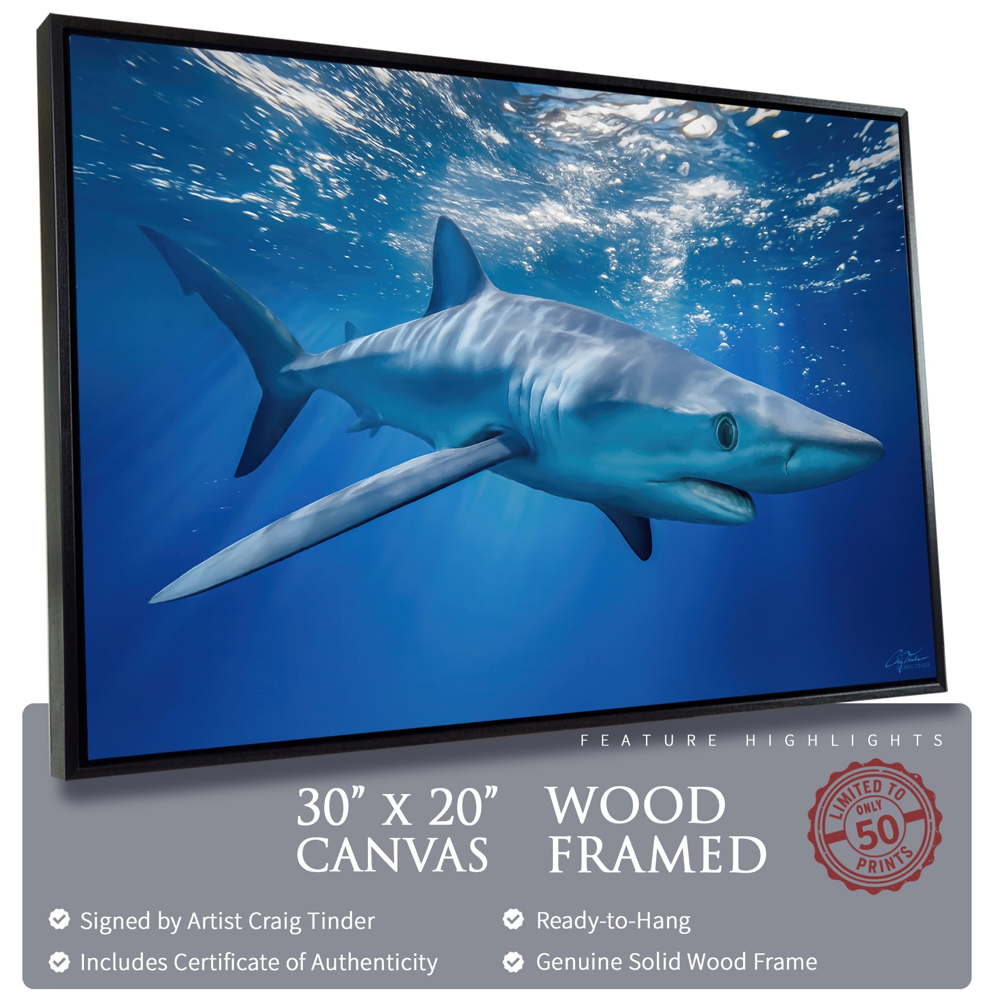 Blue Shark Horizons