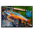 Catskills Brook Trout
