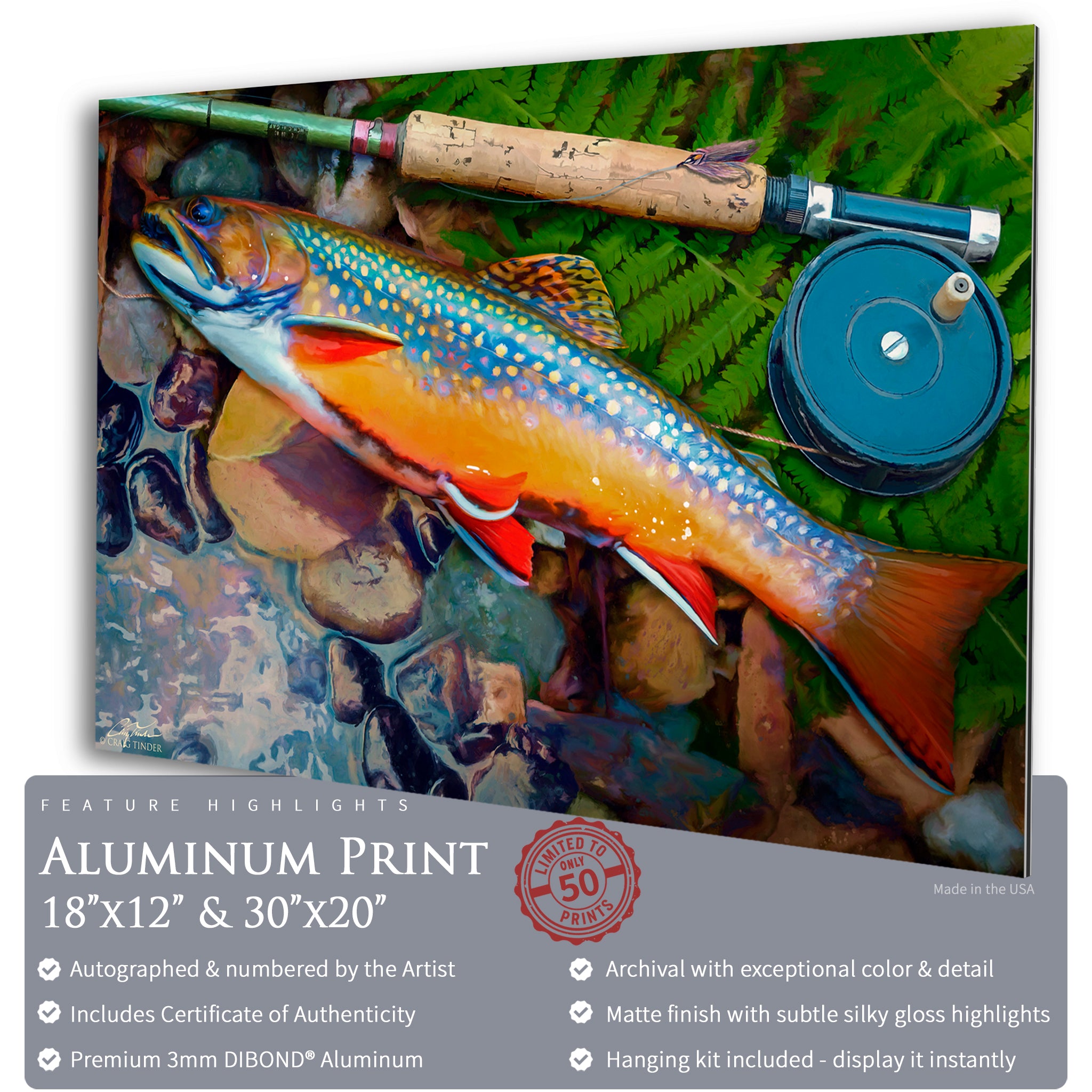 Catskills Brook Trout