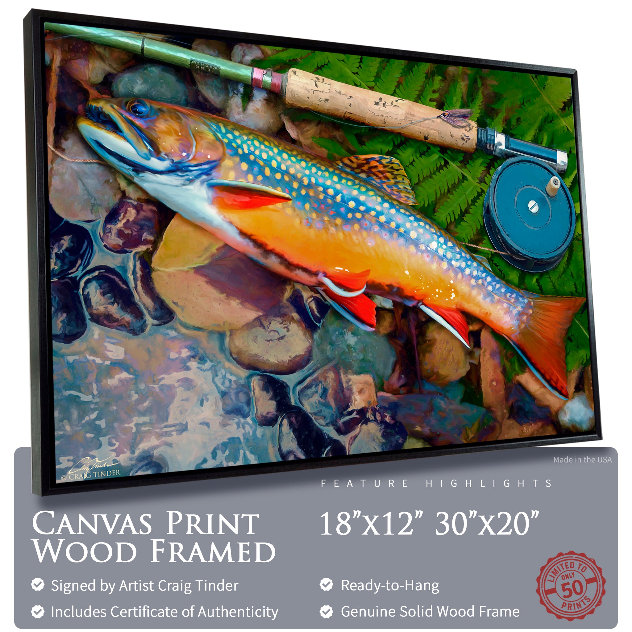 Catskills Brook Trout